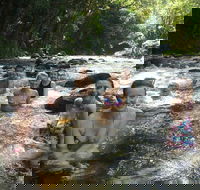 Daintree Rainforest Cape Tribulation Mossman Gorge Small-Group Day Tour - Restaurant Find
