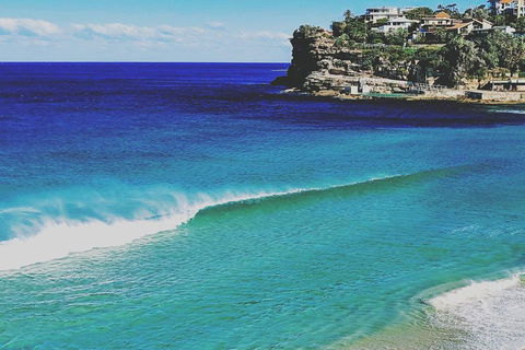 Sydney & Bondi Beach Plus Local Secrets With 'Personalised Sydney Tours' - Restaurant Find 1