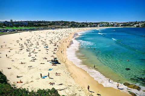 Sydney & Bondi Beach Plus Local Secrets With 'Personalised Sydney Tours' - Restaurant Find 5