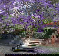 Sydney Secrets  Bondi Beach Private 4 Hr Morning with Personalised Sydney Tours - Restaurant Find
