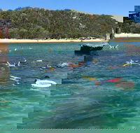 All Inclusive Dolphin and Tangalooma Wrecks Cruise - Restaurant Find