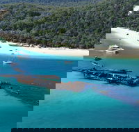 All Inclusive Tangalooma Wrecks Cruise Tour From Gold Coast - Restaurant Find