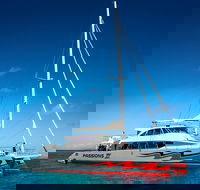 Passions of Paradise Great Barrier Reef Snorkel and Dive Cruise from Cairns by Luxury Catamaran - Restaurant Find