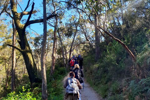 Self-Guided Waterfall Gully To Mount Lofty Hike From Adelaide - Restaurant Find 1
