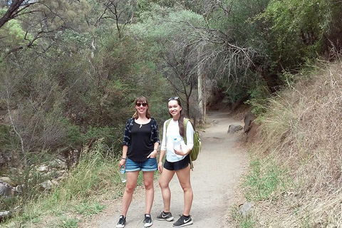 Self-Guided Waterfall Gully To Mount Lofty Hike From Adelaide - Restaurant Find 4