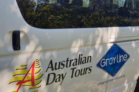 Natural Bridge Glow Worm Night Tour From Gold Coast - Restaurant Find 5