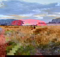 Uluru Ayers Rock Sunset with Outback Barbecue Dinner and Star Tour - Restaurant Find