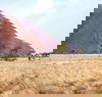 Uluru Sunrise and Guided Base Walk - Restaurant Find
