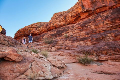 Kings Canyon Guided Rim Walk - Restaurant Find 0