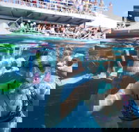 Great Barrier Reef Day Cruise from Cairns Including Snorkeling and Marine Biologist Presentation - Restaurant Find
