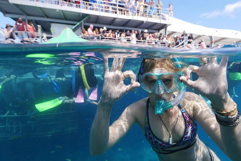 Great Barrier Reef Day Cruise From Cairns Including Snorkeling And Marine Biologist Presentation - Restaurant Find 0