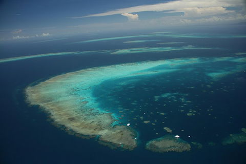 Great Barrier Reef Day Cruise From Cairns Including Snorkeling And Marine Biologist Presentation - Restaurant Find 1