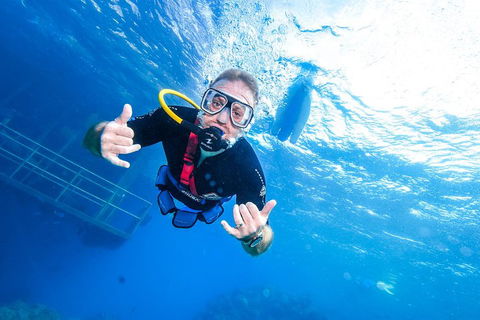 Great Barrier Reef Day Cruise From Cairns Including Snorkeling And Marine Biologist Presentation - Restaurant Find 3