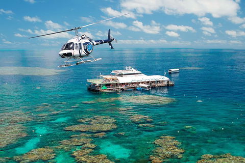 Great Barrier Reef Day Cruise From Cairns Including Snorkeling And Marine Biologist Presentation - Restaurant Find 5