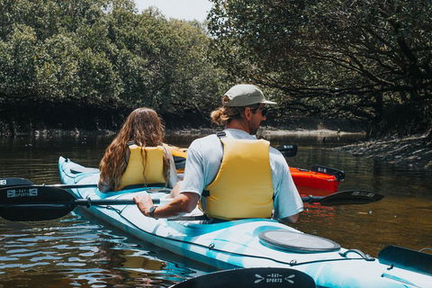 Kayak Tour In Adelaide Dolphin Sanctuary - Restaurant Find 2