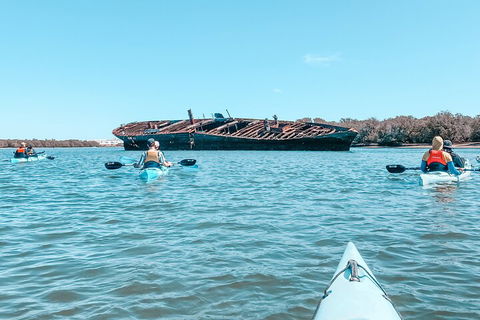 Kayak Tour In Adelaide Dolphin Sanctuary - Restaurant Find 3