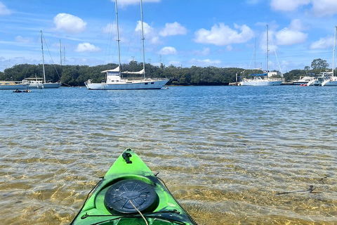 Kayak Tour In Adelaide Dolphin Sanctuary - Restaurant Find 4