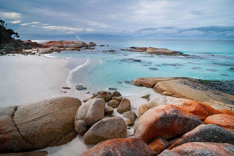Wineglass Bay Private Charter Service - Restaurant Find 0