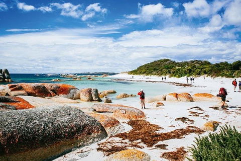 Wineglass Bay Private Charter Service - Restaurant Find 3