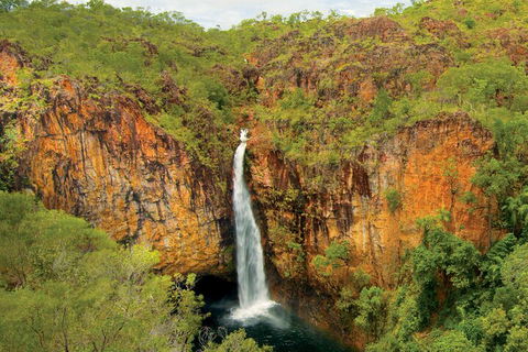 7 Days Darwin, Kakadu National Park, Katherine Gorge Touring Package - Restaurant Find 3