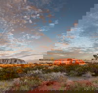 Uluru Kata Tjuta and Kings Canyon Camping Safari from Alice Springs - Restaurant Find