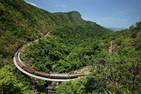 Skyrail Rainforest Cableway Day Trip From Cairns - Restaurant Find 5