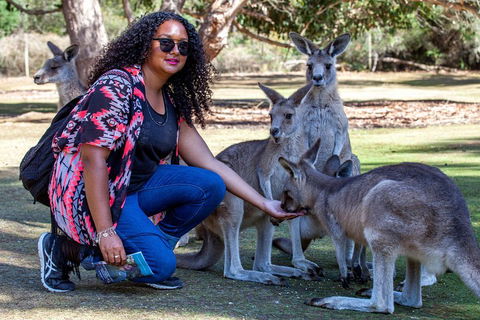 3-Day Tasmania Combo: Hobart To Launceston Active Tour - Restaurant Find 5