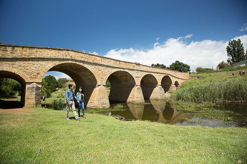 Bonorong Wildlife Park And Richmond Afternoon Tour From Hobart - Restaurant Find 0