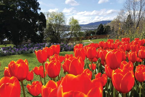 Hobart Half-Day Sightseeing Coach Tram Tour - Restaurant Find 4