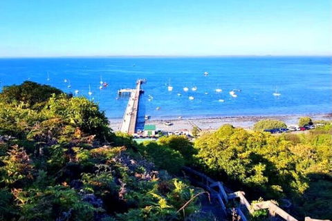 Mornington Peninsula Sightseeing Tour For 2-6 Guests. - Restaurant Find 1