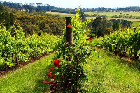 Mornington Peninsula Sightseeing Tour For 2-6 Guests. - Restaurant Find 3