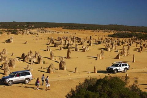 1-Day Pinnacles And Yanchep Tour From Perth Including Fish And Chips Lunch - Restaurant Find 0