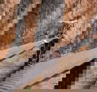 Chillagoe Caves and Outback Day Trip from Cairns - Restaurant Find