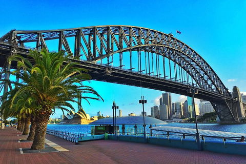Sydney Half Day Tour With A Local: 100% Personalized & Private â˜…â˜…â˜…â˜…â˜… - Restaurant Find 1