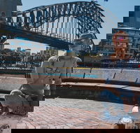Sydney Private Tours by Locals 100 Personalized See the City Unscripted - Restaurant Find