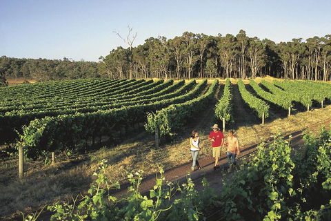 Margaret River, Caves, Wine And Cape Leeuwin Lighthouse Tour From Perth - Restaurant Find 1