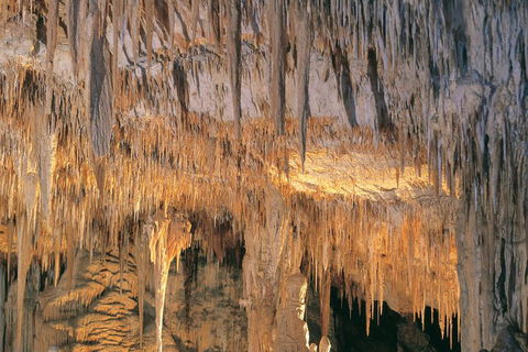 Margaret River, Caves, Wine And Cape Leeuwin Lighthouse Tour From Perth - Restaurant Find 3