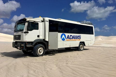 Pinnacles Desert, Koalas And Sandboarding 4WD Day Tour From Perth - Restaurant Find 2