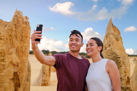 Pinnacles Desert, Koalas And Sandboarding 4WD Day Tour From Perth - Restaurant Find 4