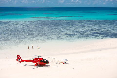 Private Helicopter Tour: Reef Island Snorkeling And Gourmet Picnic Lunch - Restaurant Find 2