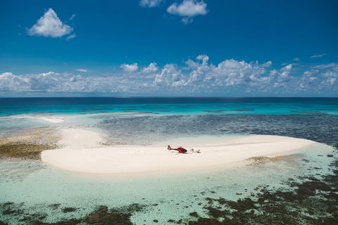 Private Helicopter Tour: Reef Island Snorkeling And Gourmet Picnic Lunch - Restaurant Find 4
