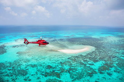 Private Helicopter Tour: Reef Island Snorkeling And Gourmet Picnic Lunch - Restaurant Find 5