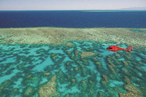 Ultimate Great Barrier Reef And Rainforest 45-minute Helicopter Tour - Restaurant Find 1