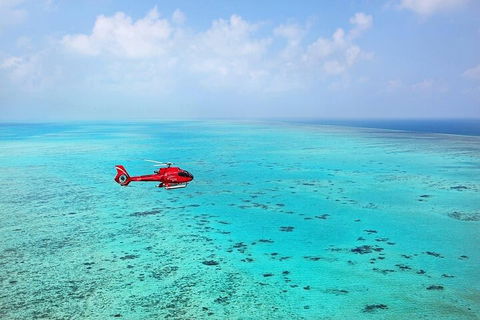 Ultimate Great Barrier Reef And Rainforest 45-minute Helicopter Tour - Restaurant Find 2