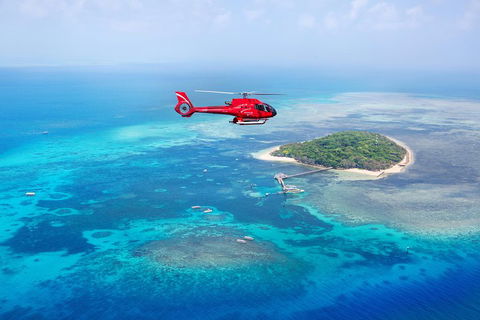 Ultimate Great Barrier Reef And Rainforest 45-minute Helicopter Tour - Restaurant Find 4