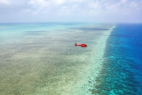 Ultimate Great Barrier Reef And Rainforest 45-minute Helicopter Tour - Restaurant Find 5