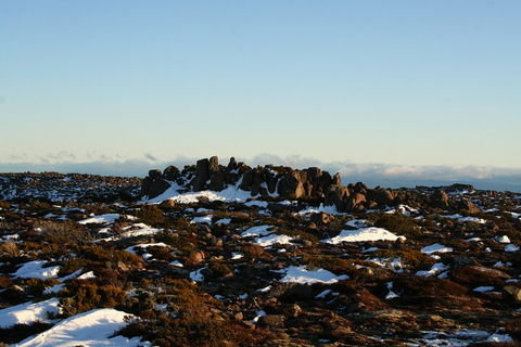 Mt. Wellington, Bonorong And Richmond Day Tour From Hobart - Restaurant Find 5