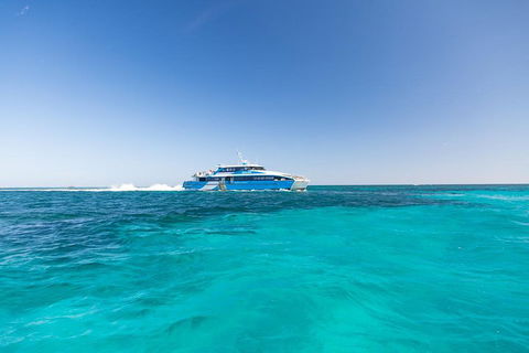 Rottnest Island Bike & Ferry Package From Fremantle - Restaurant Find 0