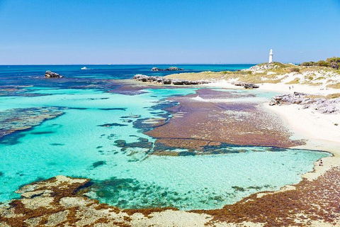 Rottnest Island Bike & Ferry Package From Fremantle - Restaurant Find 5