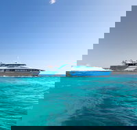Rottnest Island Bike Snorkel  Ferry Package from Fremantle - Restaurant Find